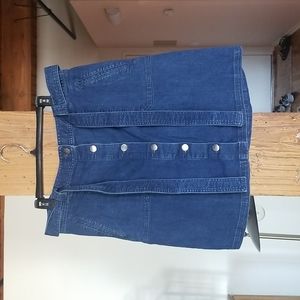 Denim Plus Size Skirt